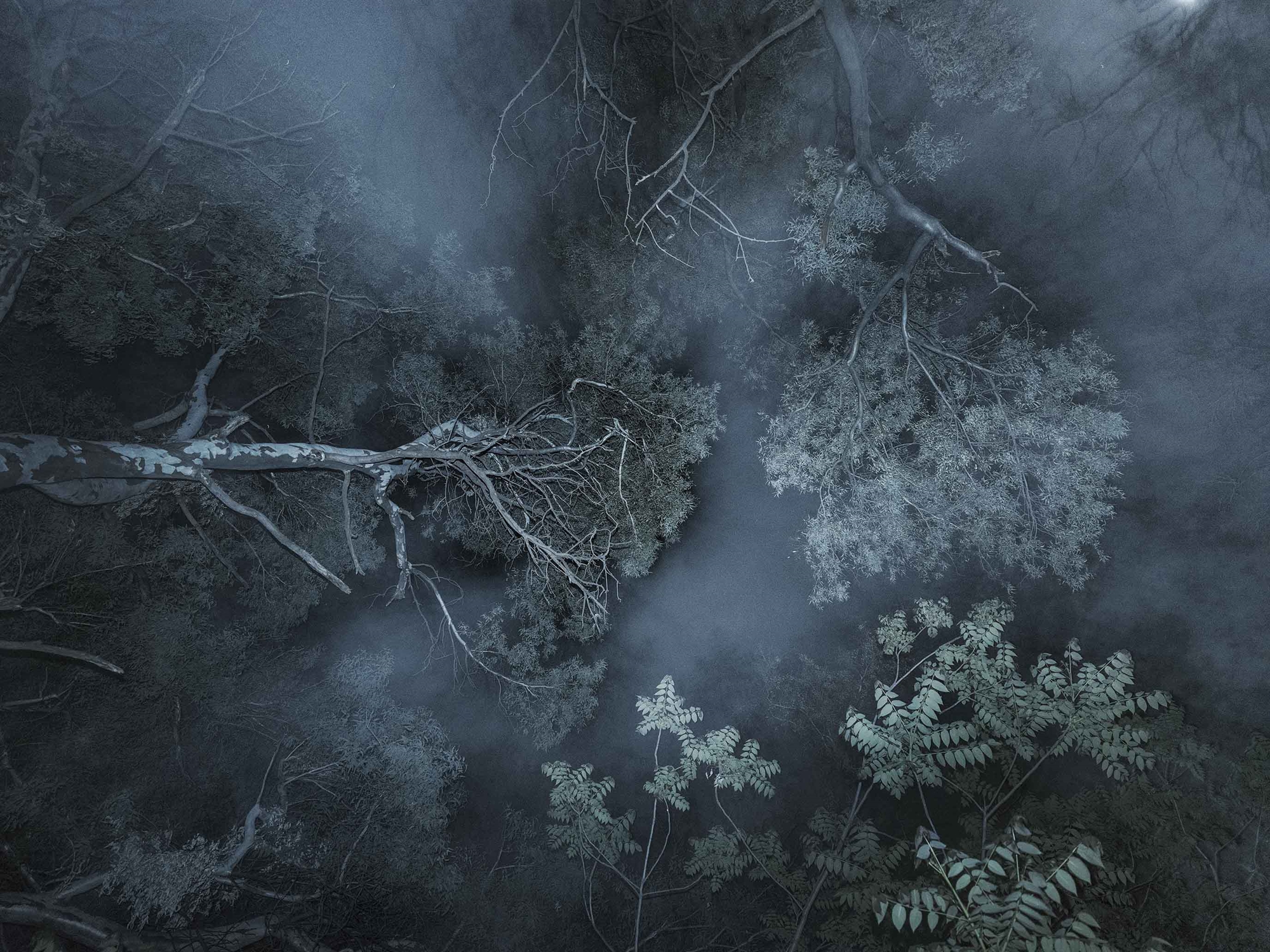 Ο Τάσος Βρεττός στην «Κ»: Τα μυστήρια «όντα» της Βαρυμπόμπης-1