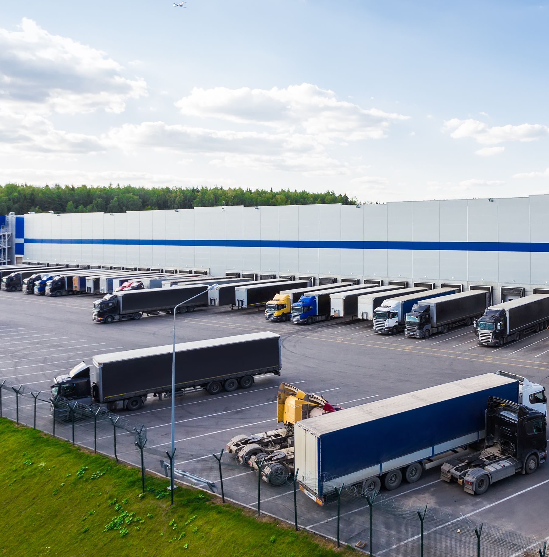 από-τον-ελαιώνα-στη-φυλή-οι-μεταφορικέ-562096675