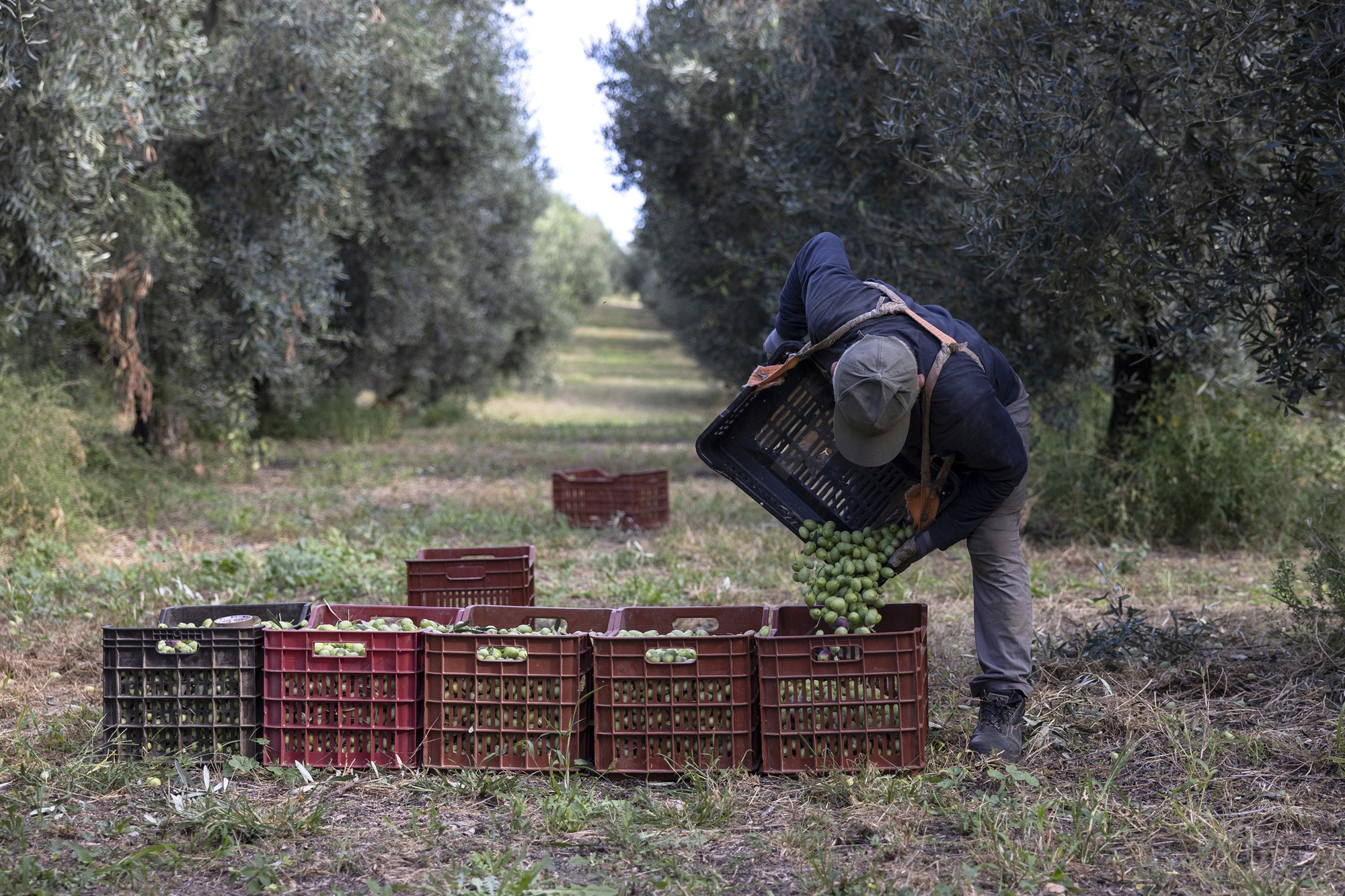 ζητούνται-χιλιάδες-χέρια-παρά-την-ανε-562082596