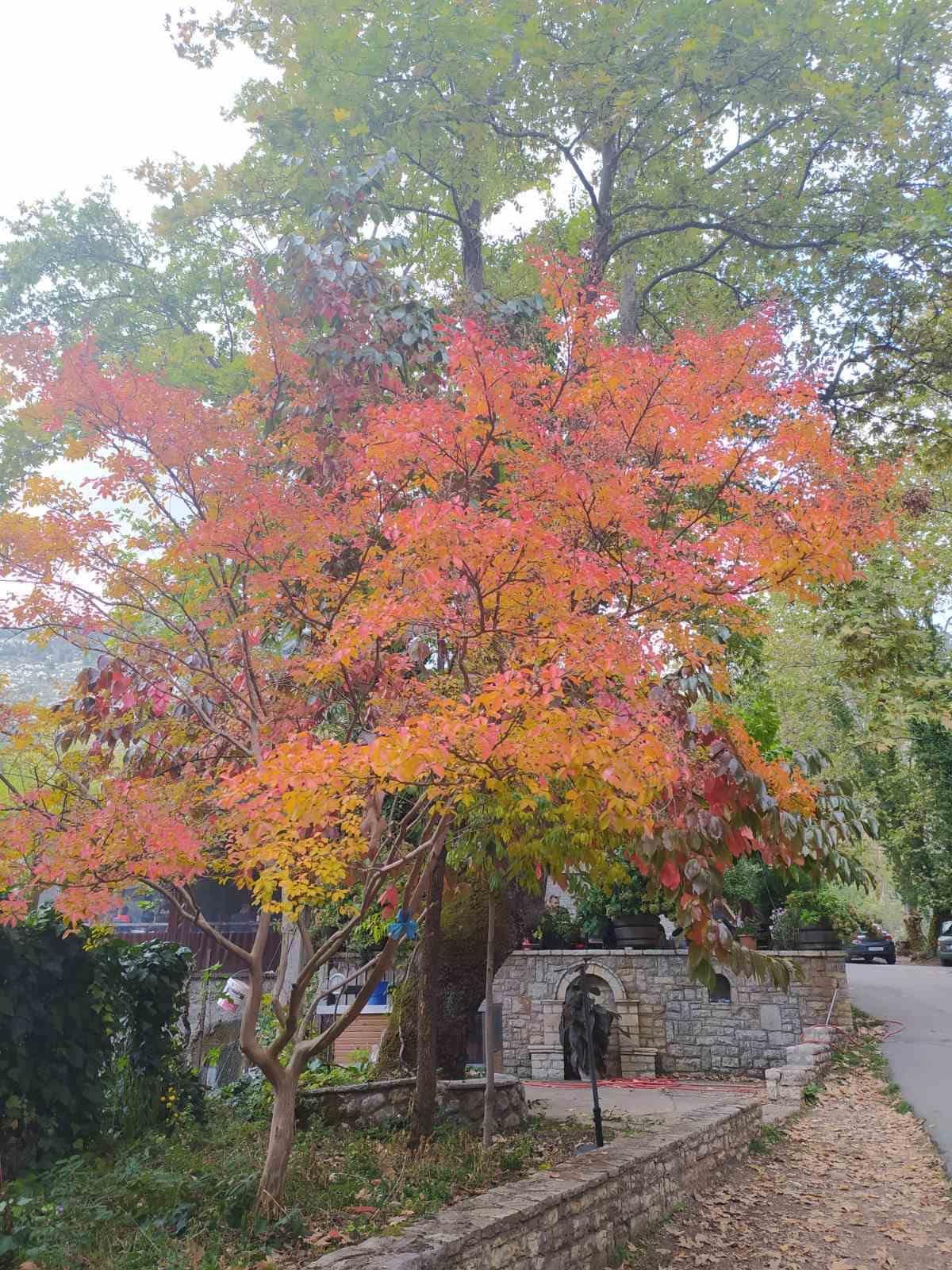 Κυβερνητικό σχέδιο για την ορεινή Ελλάδα – Σκέψεις για δημιουργία ειδικού ταμείου-1