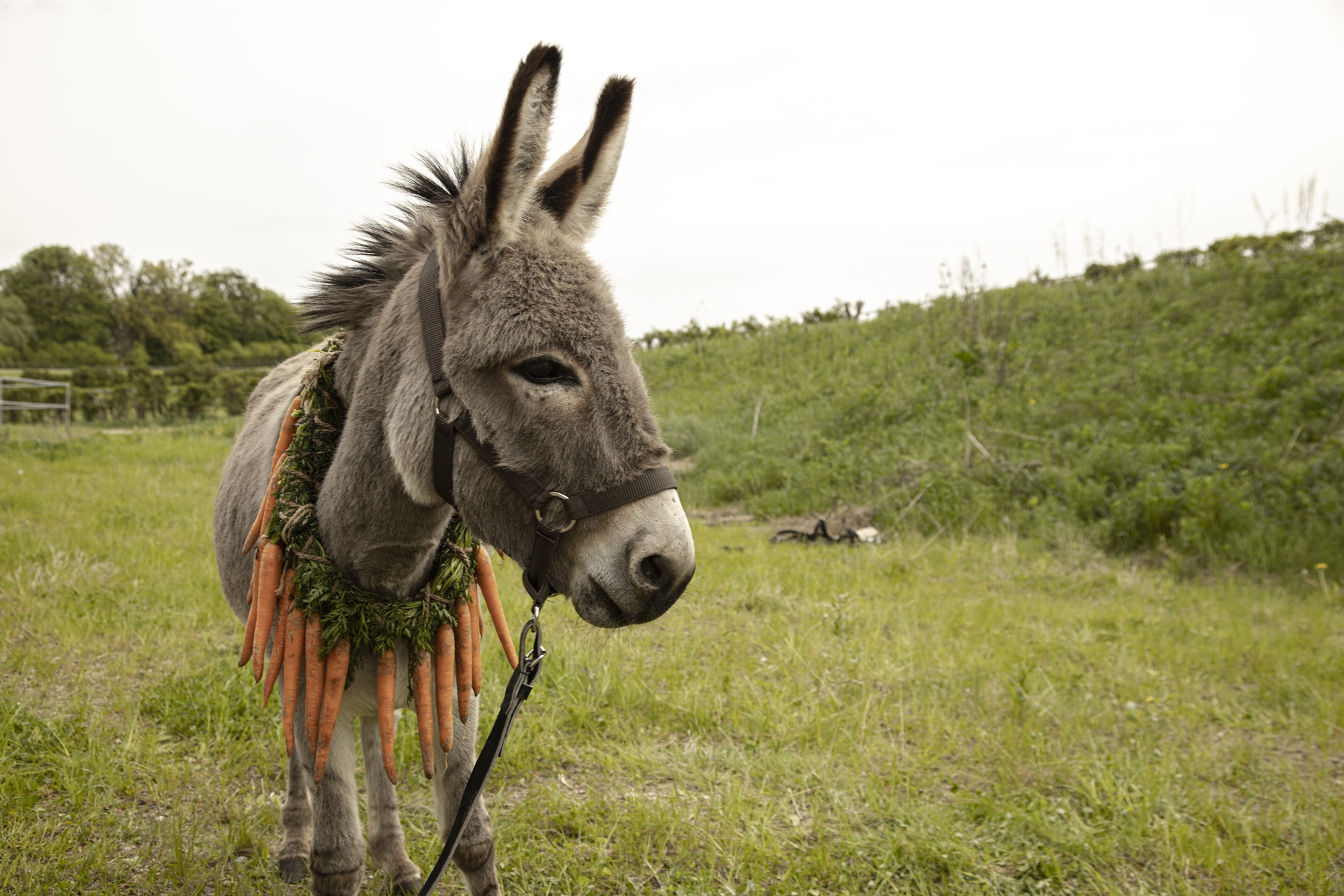 Οι νέες ταινίες της εβδομάδας: Μοιραία έλξη, αρχαίος αντιήρωας-1