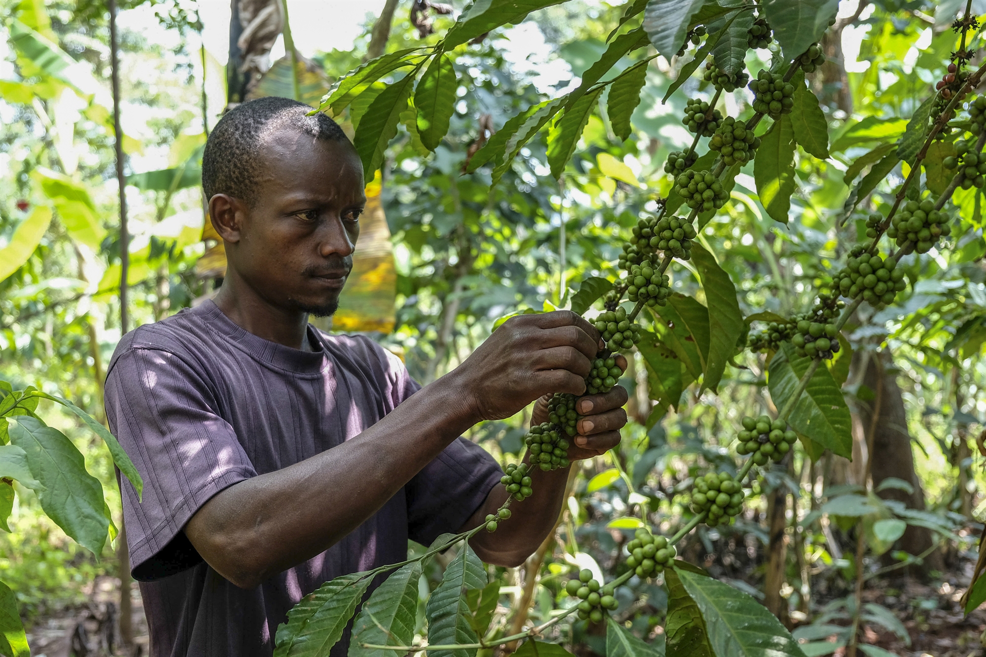 η-nestle-επενδύει-1-δισ-δολ-σε-τεχνικές-βιώσι-562078831