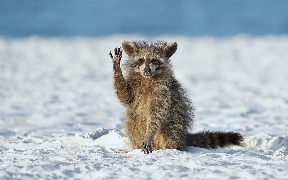 δείτε-τις-πιο-αστείες-φωτογραφίες-άγρ-562101082