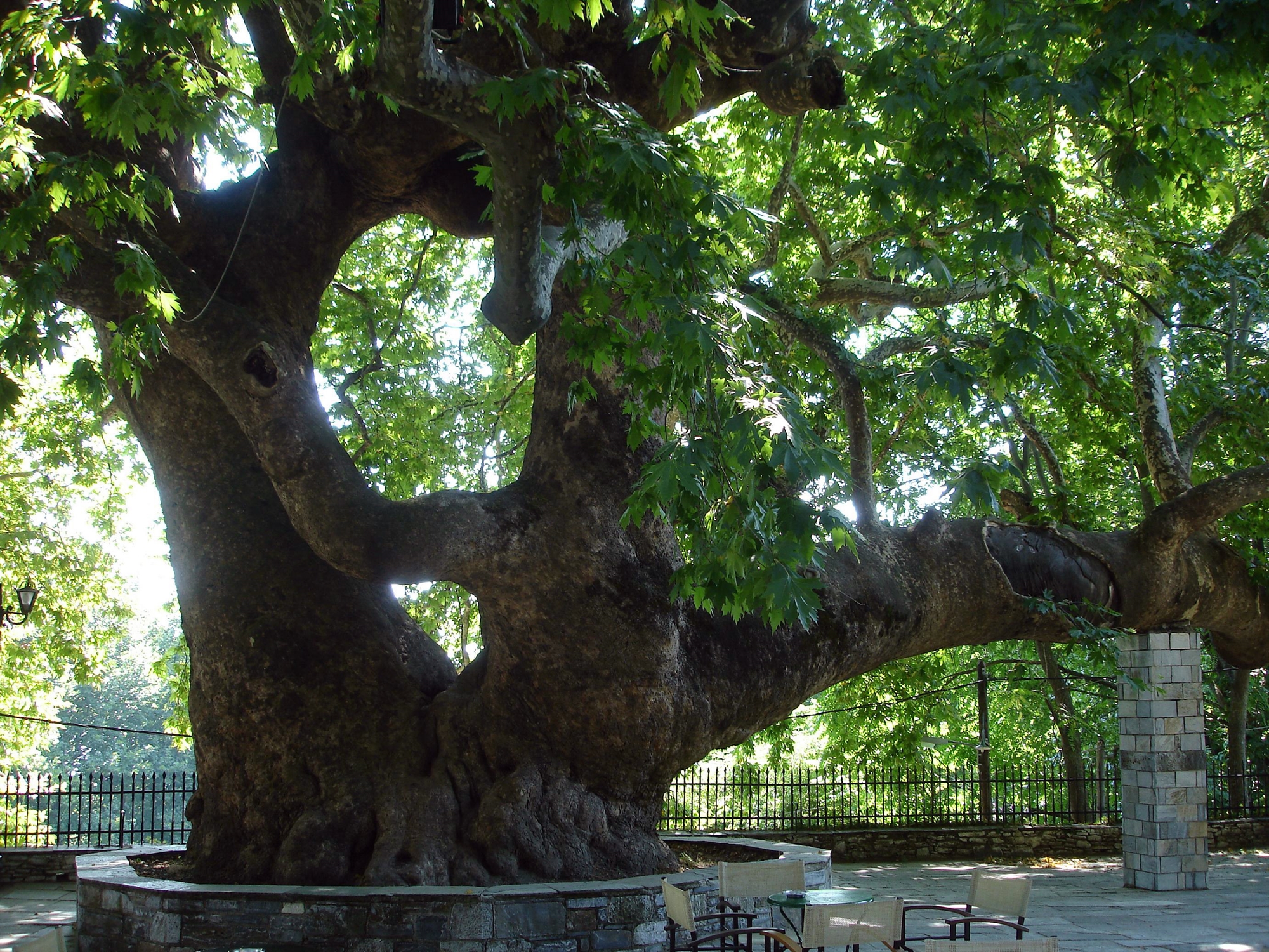 το-εγγενές-μυστήριο-562083196