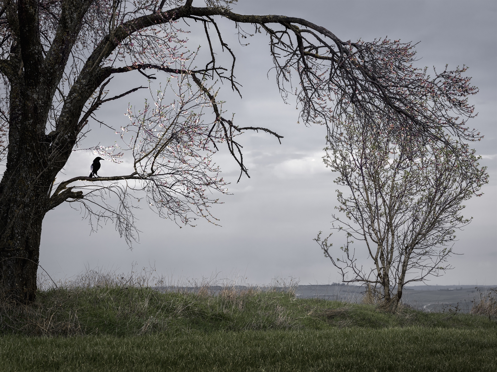 φως-στην-ομίχλη-της-ιστορίας-562083049