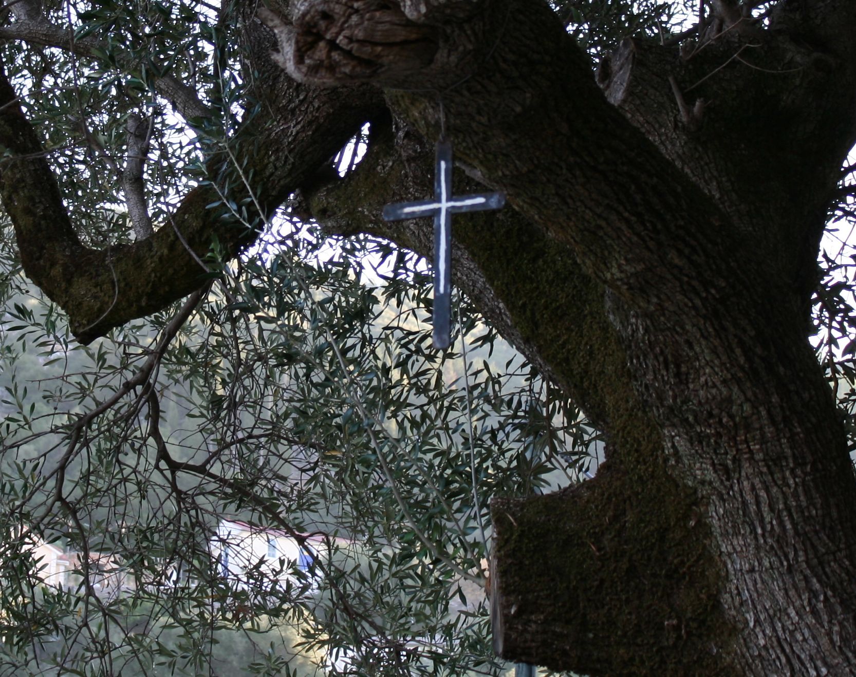 H καραβάνα του στρατιώτη Φορτουνάτο-4