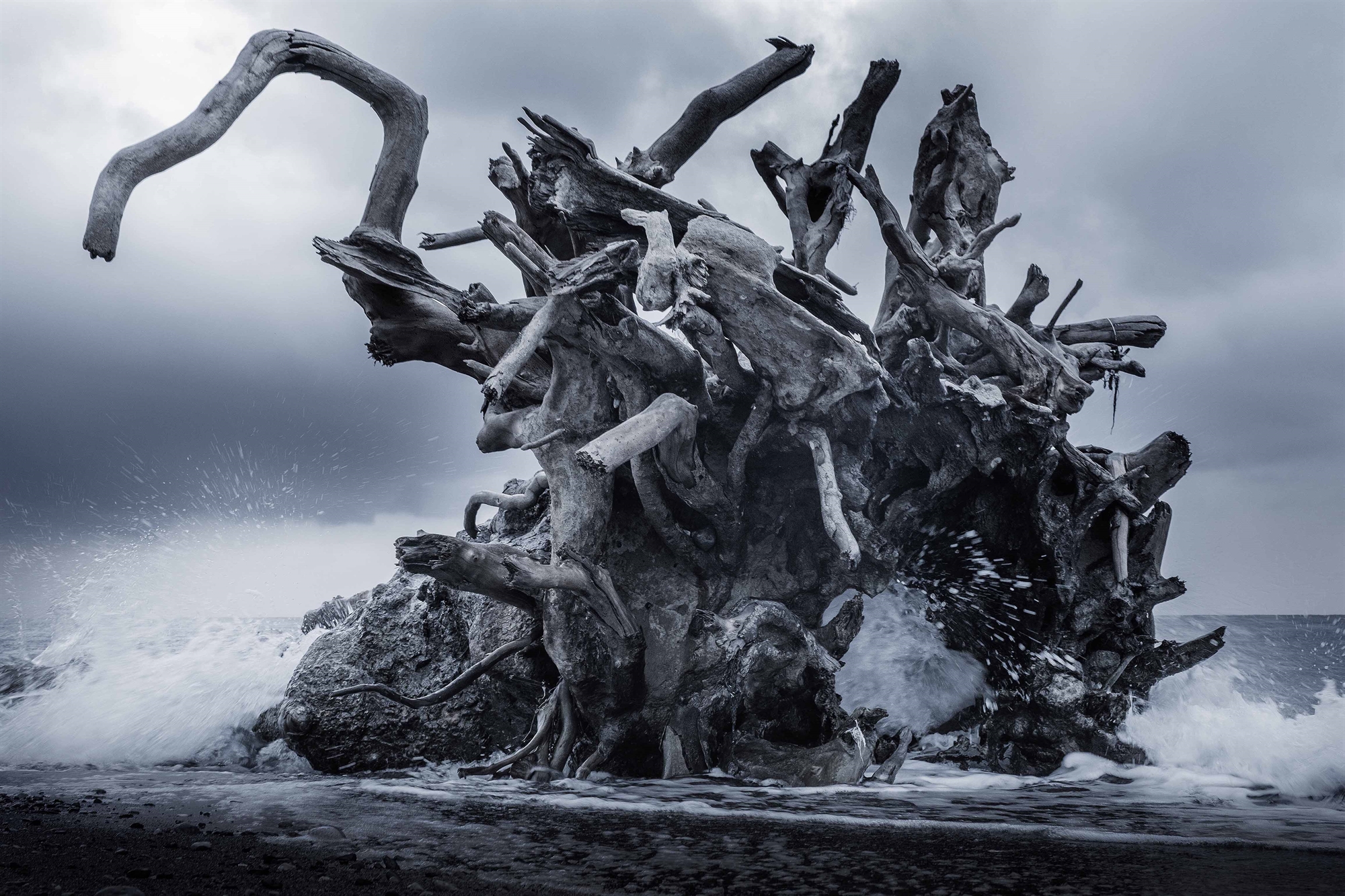 Ο Τάσος Βρεττός στην «Κ»: Τα μυστήρια «όντα» της Βαρυμπόμπης-2