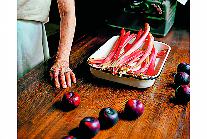 Η μεταμόρφωση ενός μουσείου, ο κύκνος της Αμβέρσας-5