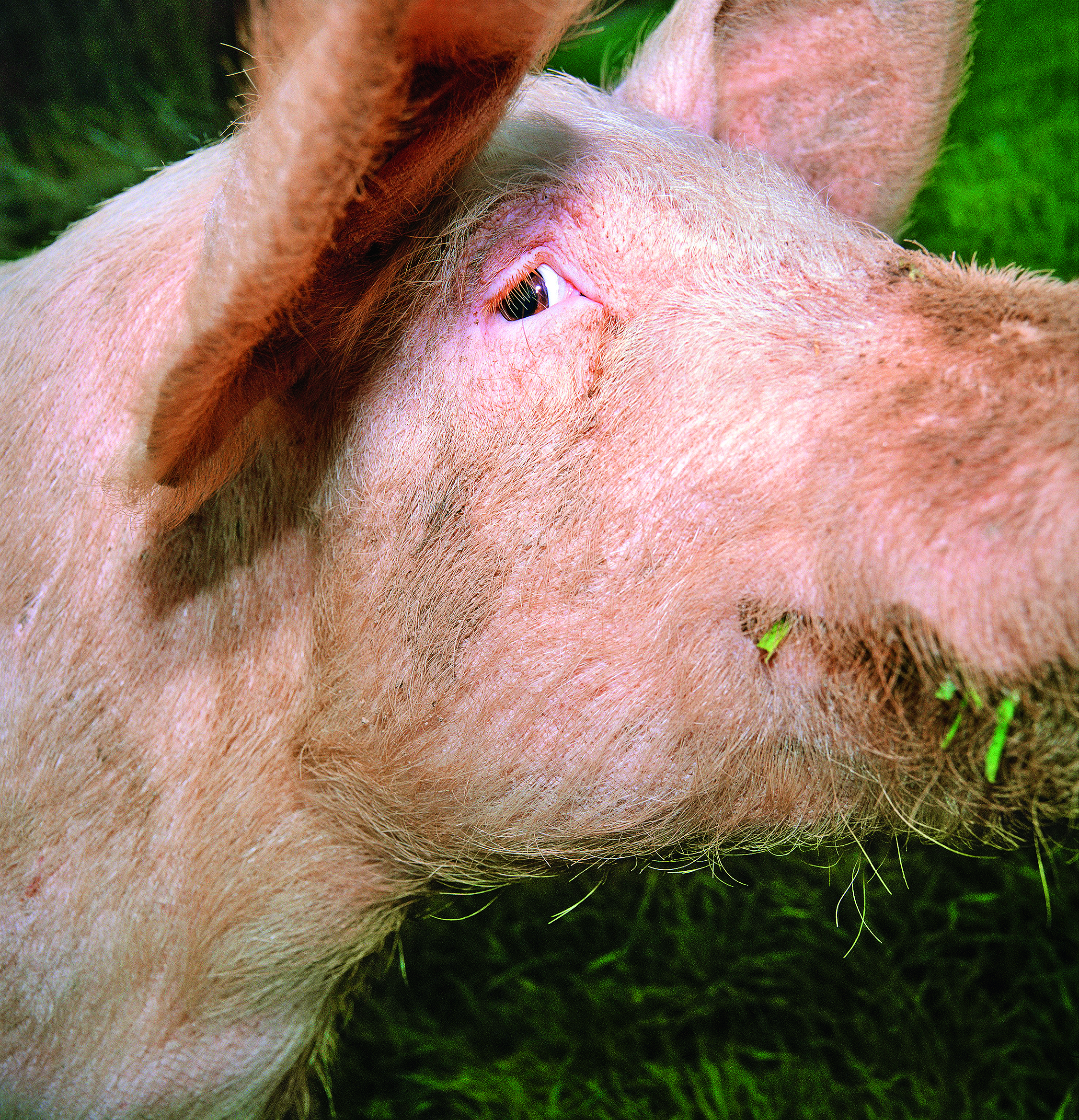 Διαβάστε στην «Καθημερινή της Κυριακής»-3