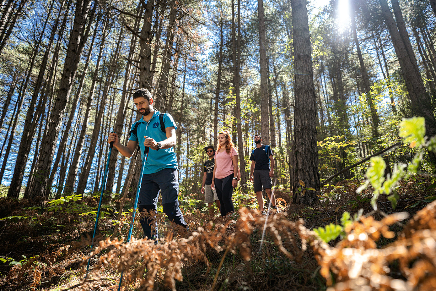 Καρυές-Βλαχοκερασιά: Μαζεύοντας καρύδια και κάστανα στο δάσος-7