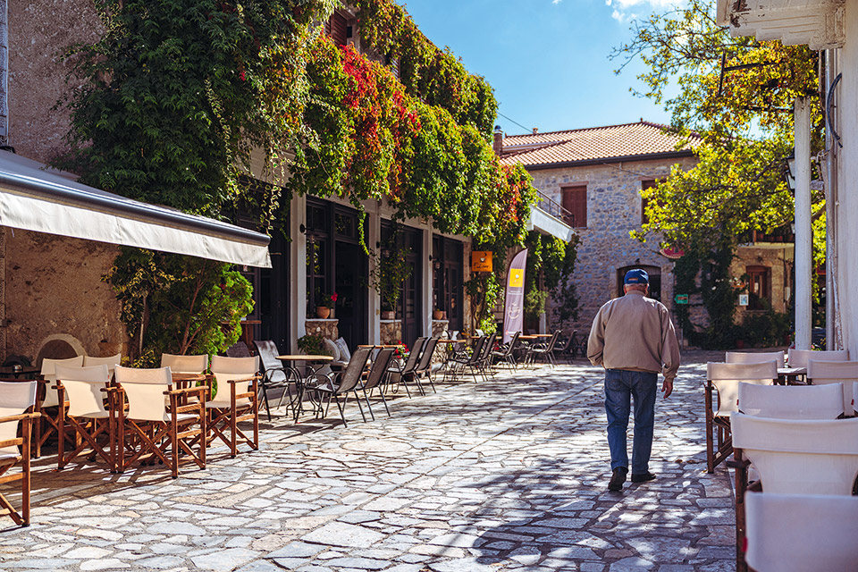 Καρυές-Βλαχοκερασιά: Μαζεύοντας καρύδια και κάστανα στο δάσος-1