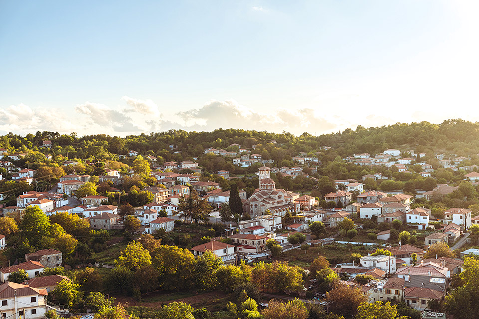Καρυές-Βλαχοκερασιά: Μαζεύοντας καρύδια και κάστανα στο δάσος-3