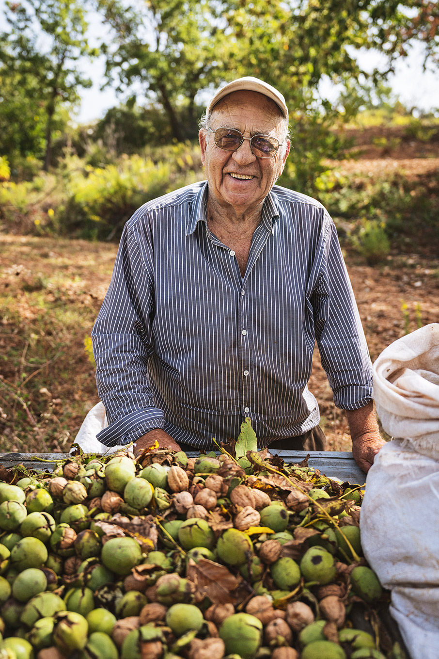 Καρυές-Βλαχοκερασιά: Μαζεύοντας καρύδια και κάστανα στο δάσος-2