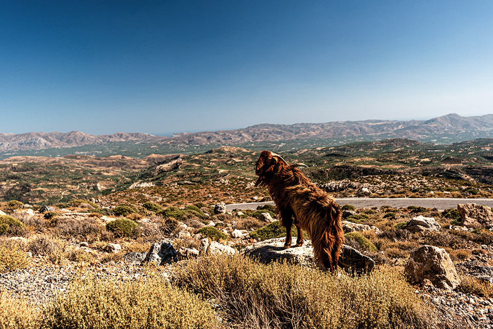 Βρήκαμε την «ψυχή» της Κρήτης στη Σητεία και στον Ψηλορείτη-7