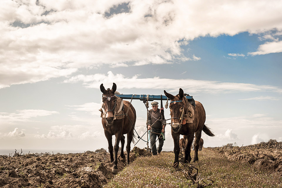Οινοτουρισμός: Δέκα αγαπημένοι προορισμοί στην Ελλάδα-1
