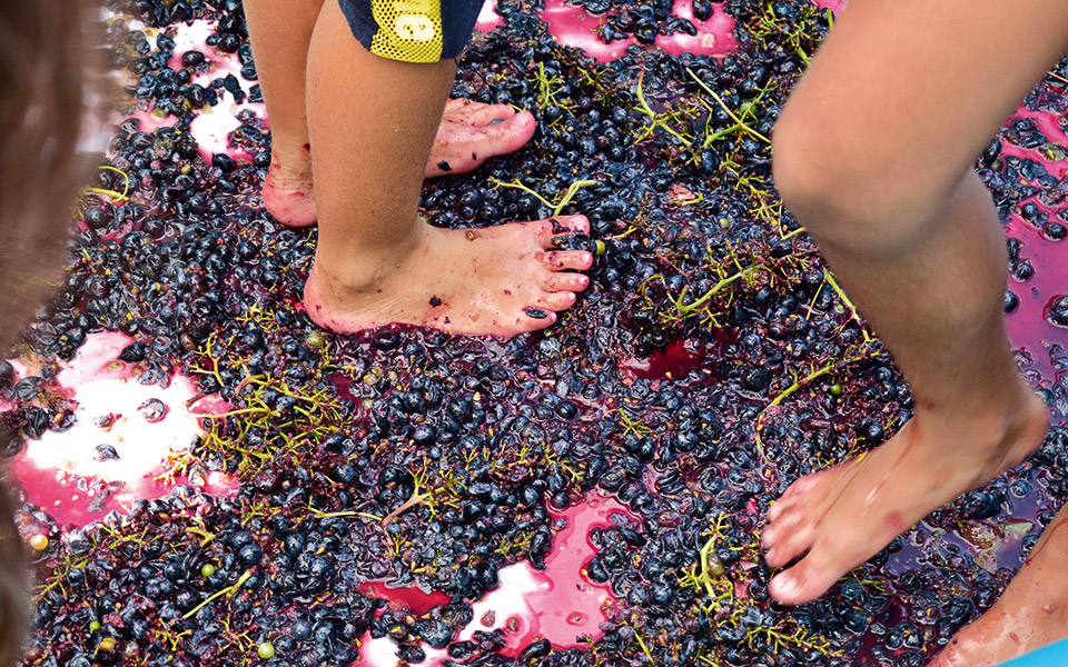 στα-ταξίδια-νοεμβρίου-ιστορίες-κρα-562090279