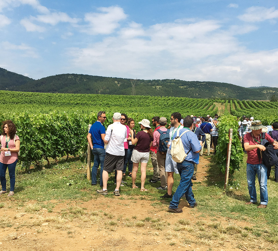 Οινοτουρισμός: Δέκα αγαπημένοι προορισμοί στην Ελλάδα-14