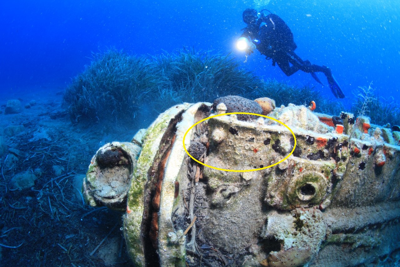 Γερμανικό «Στούκα» του Β’ Παγκοσμίου Πολέμου στα νερά της Καρπάθου (εικόνες)-4