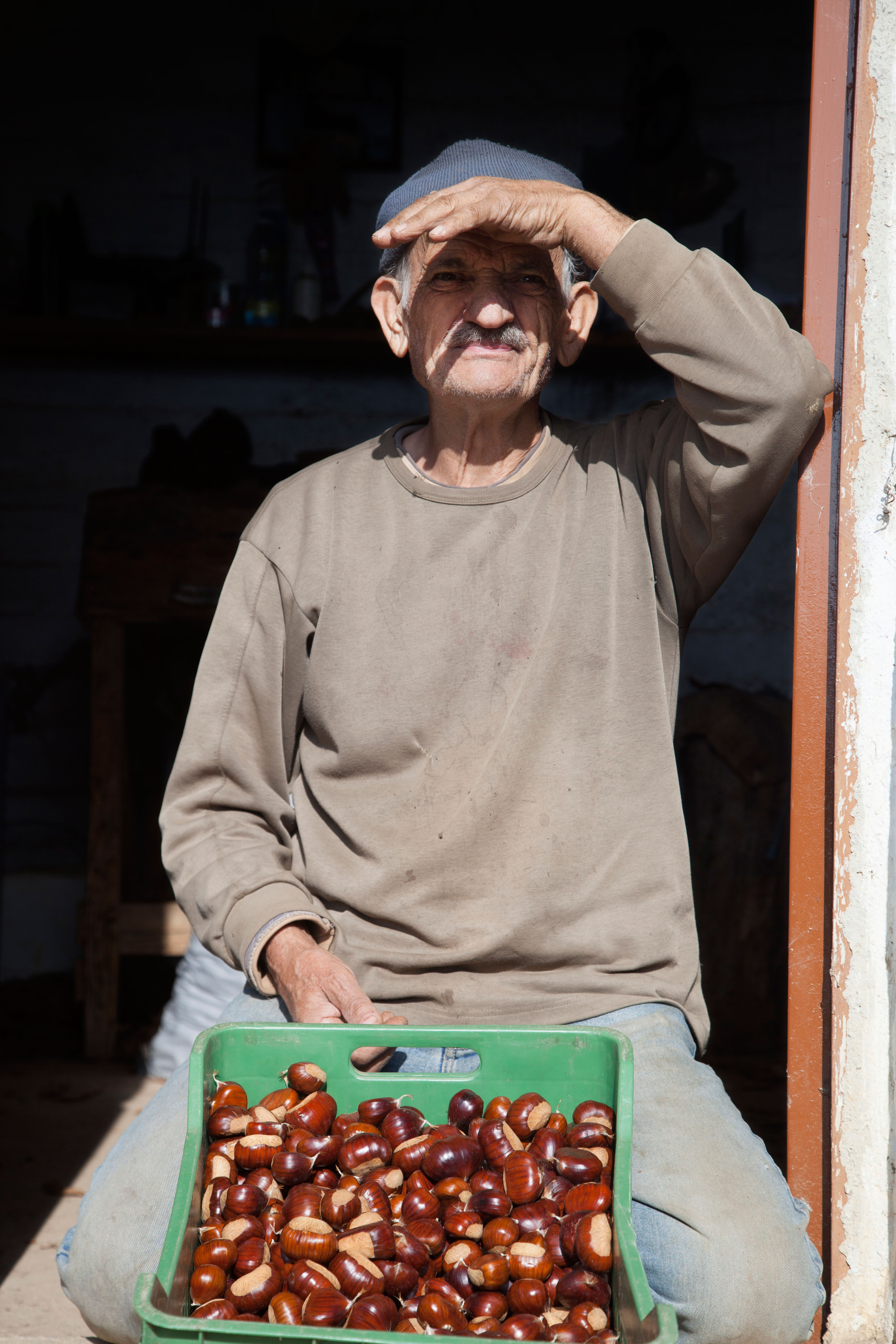 Συρράκο, Καστάνιτσα, Δίλοφο: Tρία ορεινά χωριά για το φθινόπωρο-1