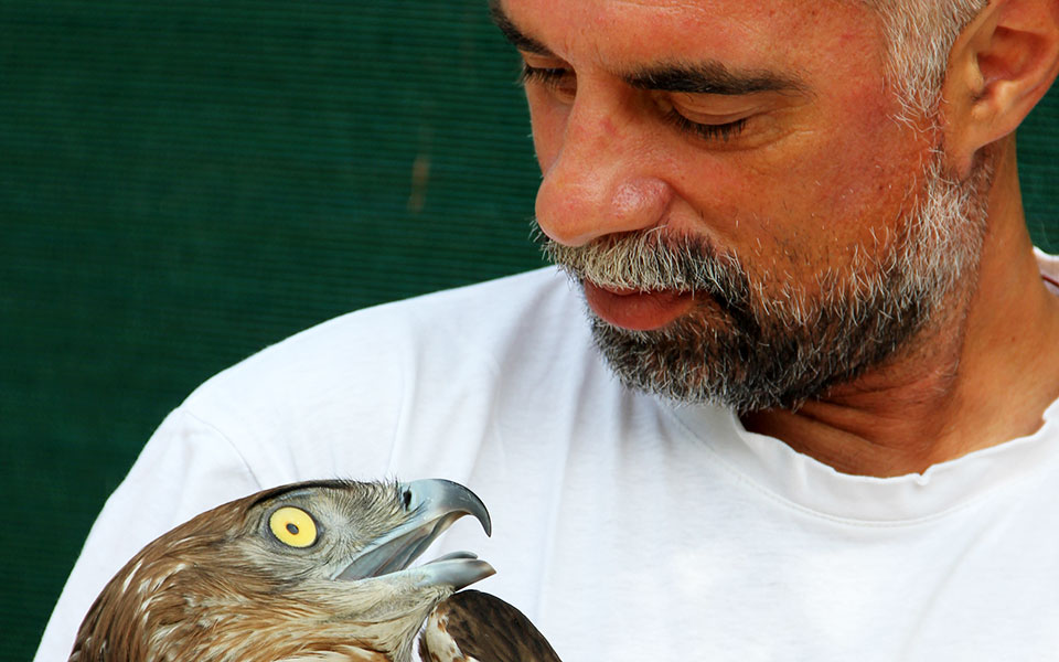 εθελοντές-φιλοζωικών-μιλούν-στην-κ-562075663