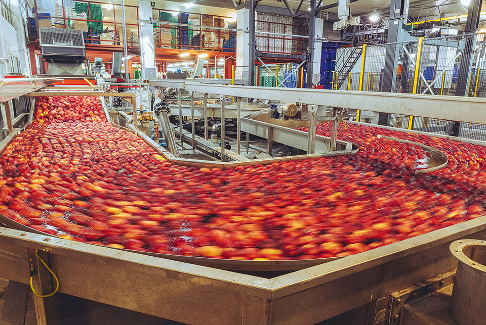 Μηλο… μανία στη Ζαγορά-5