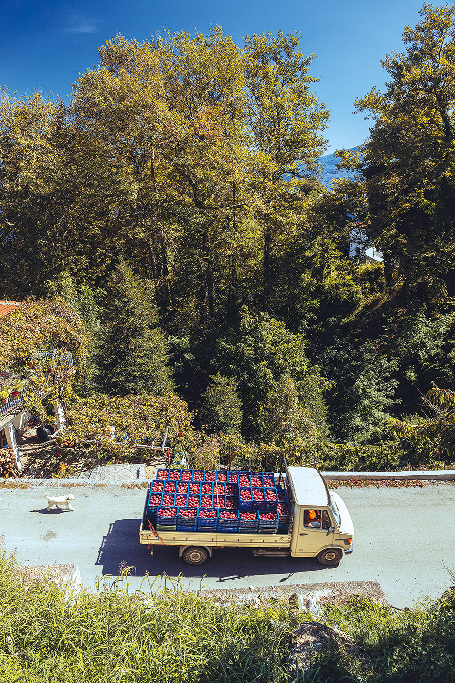 Μηλο… μανία στη Ζαγορά-2