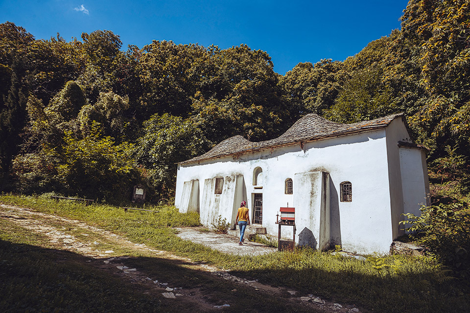 Μηλο… μανία στη Ζαγορά-7