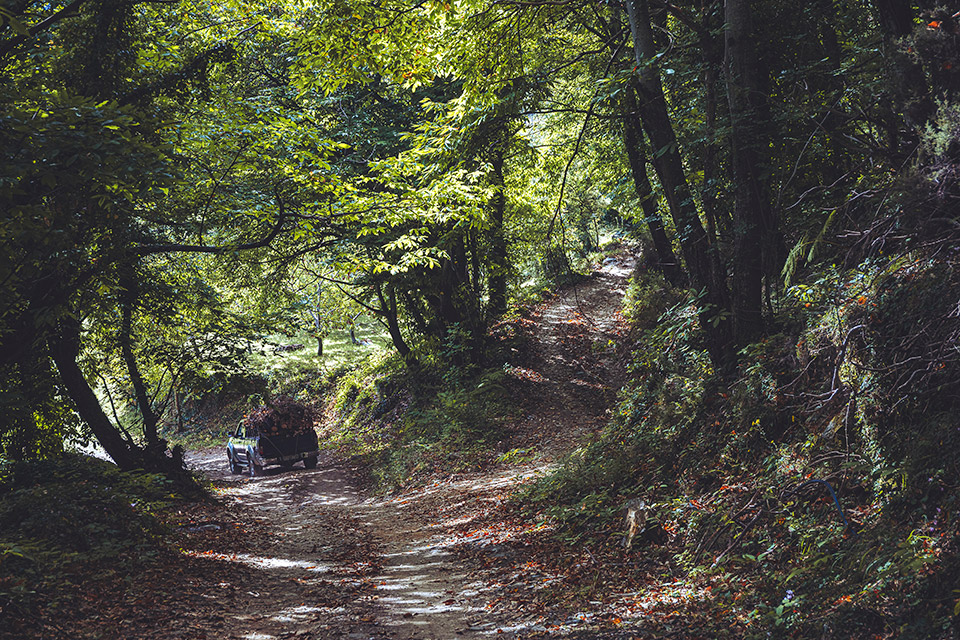 Μηλο… μανία στη Ζαγορά-11
