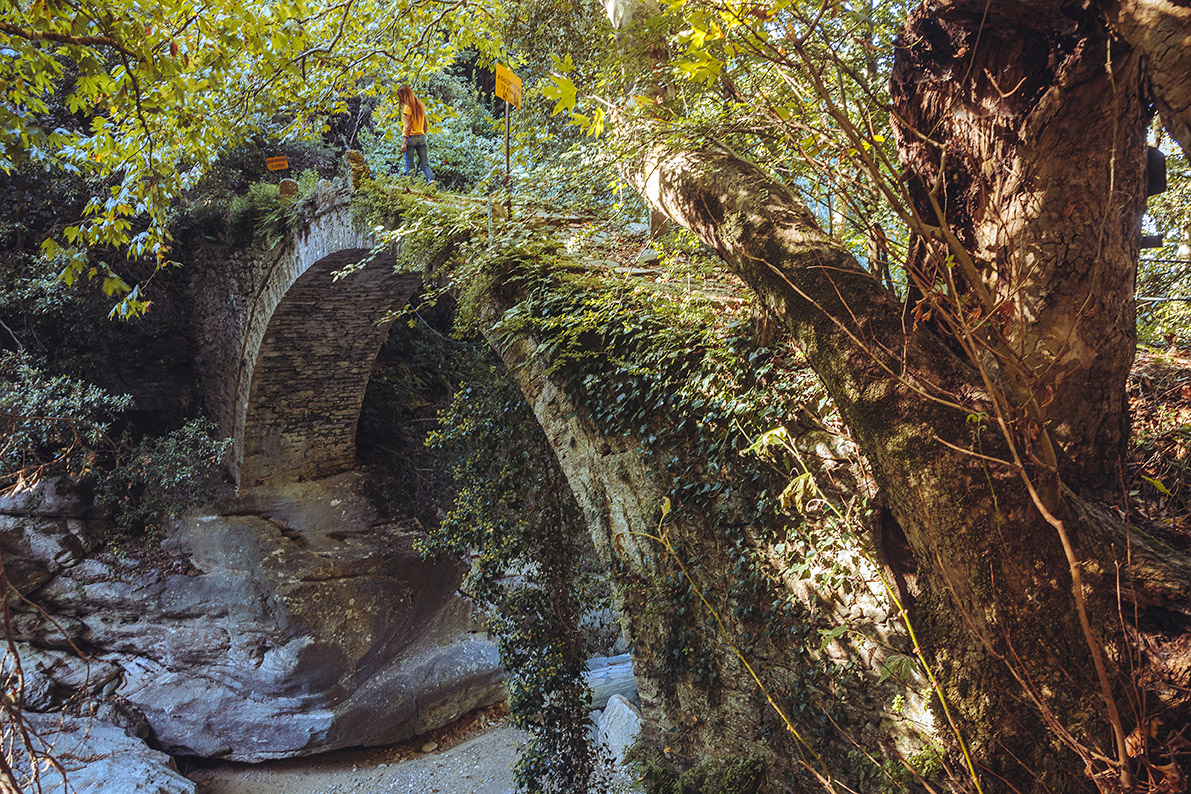 Μηλο… μανία στη Ζαγορά-10