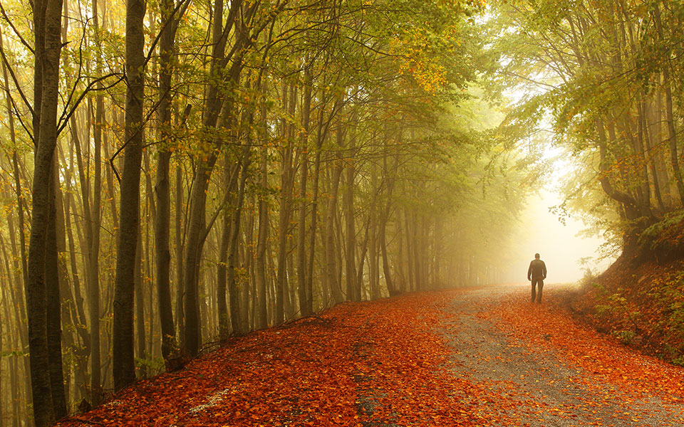 η-φθινοπωρινή-ελλάδα-μάς-χαρίζει-τις-π-562091926