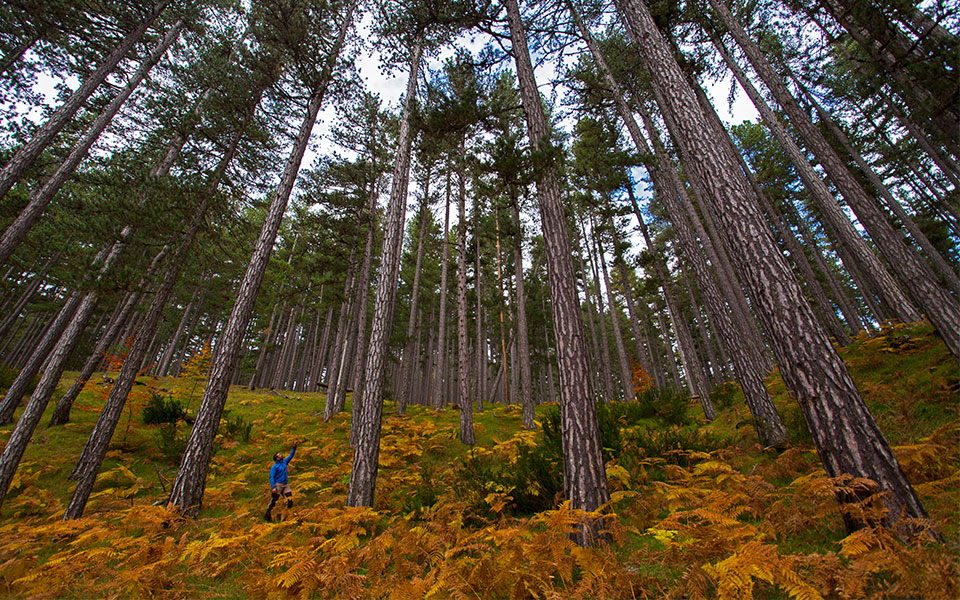 Η φθινοπωρινή Ελλάδα μάς χαρίζει τις πιο όμορφες εικόνες-3
