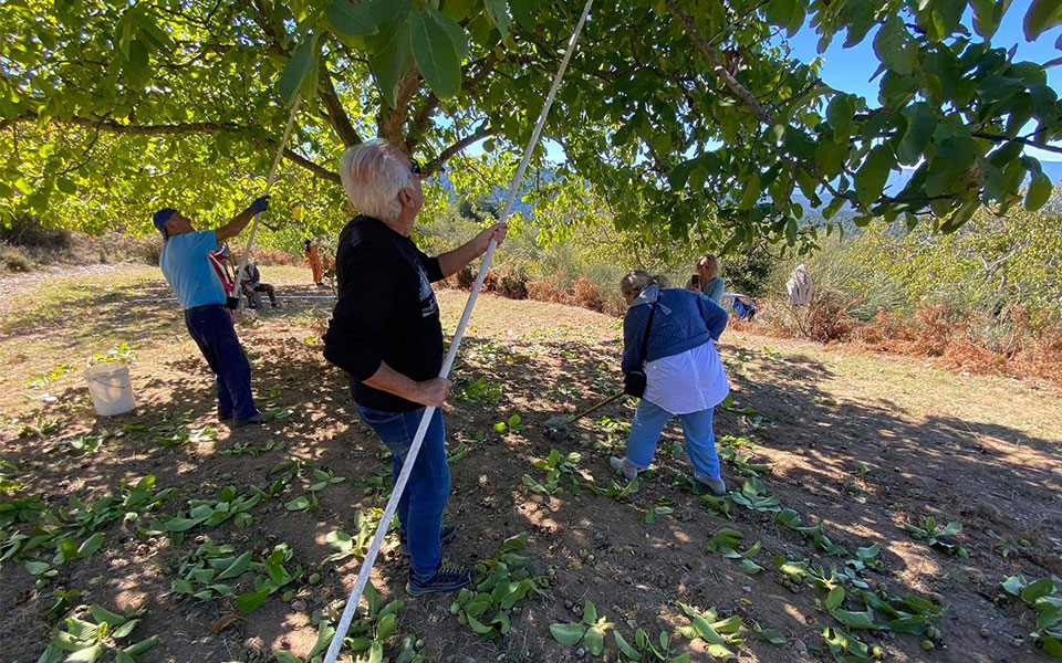 Και τον Οκτώβριο πάμε Βαμβακού!-1