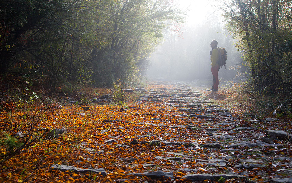 Η φθινοπωρινή Ελλάδα μάς χαρίζει τις πιο όμορφες εικόνες-4