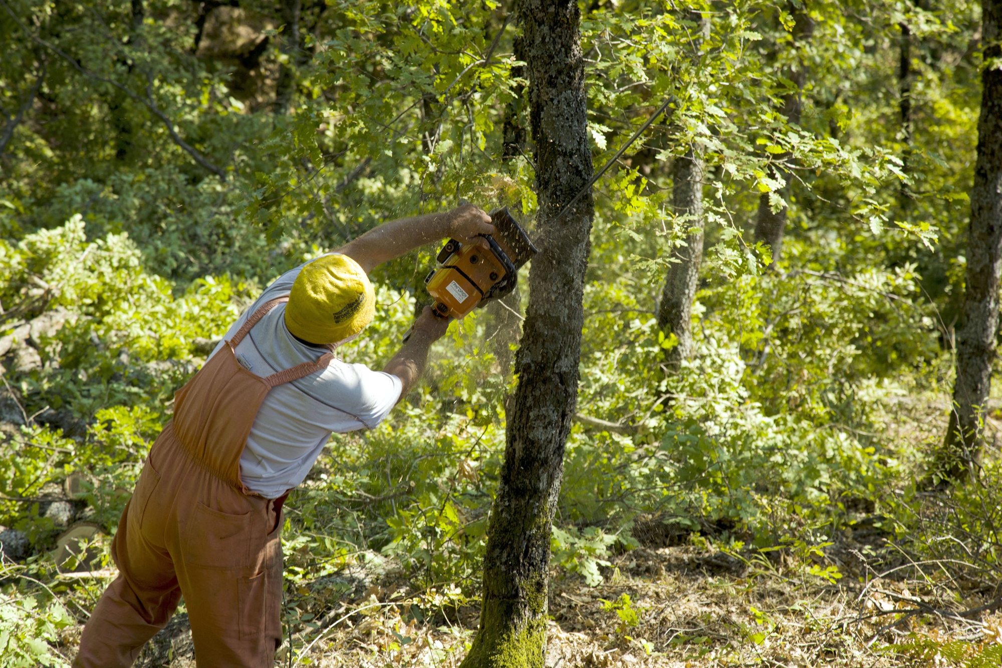 SOS των ειδικών για την καύση ξύλων τον χειμώνα – Επιστήμονες μιλούν στην «Κ»-1