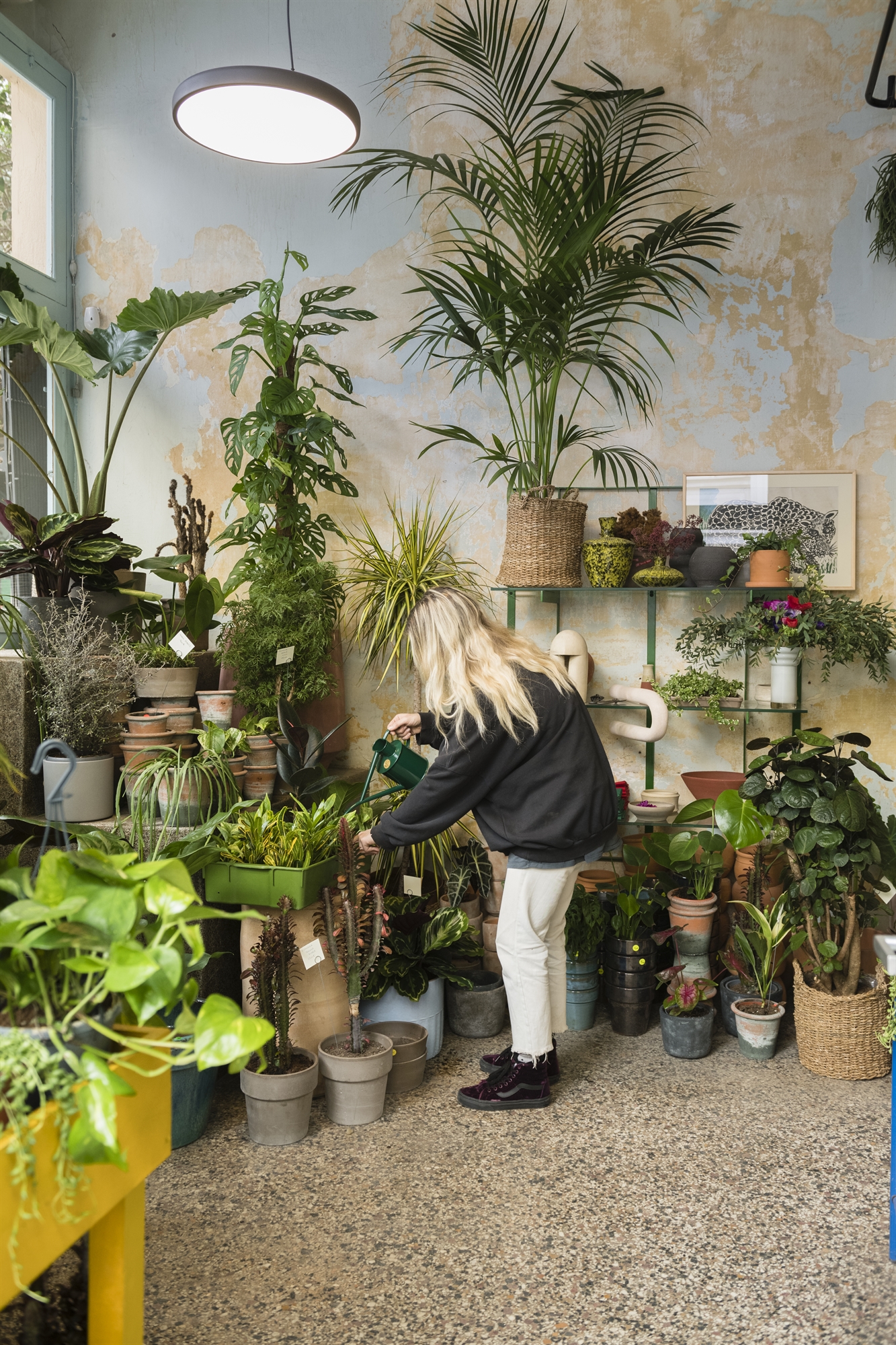 Τα Eξάρχεια ανθίζουν πίσω από τις λαμαρίνες-2