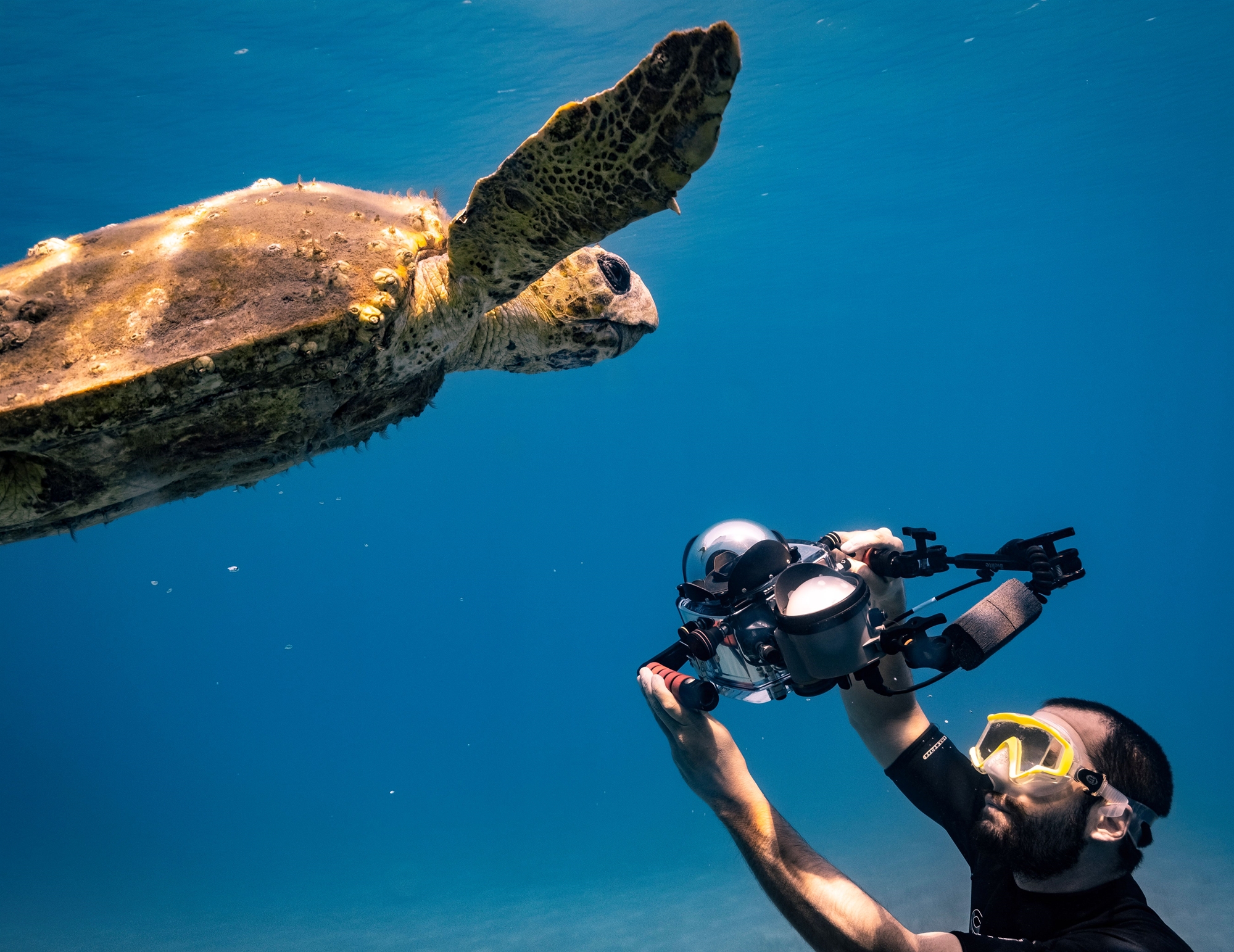 «Απίστευτα ανθεκτική η φύση»-1