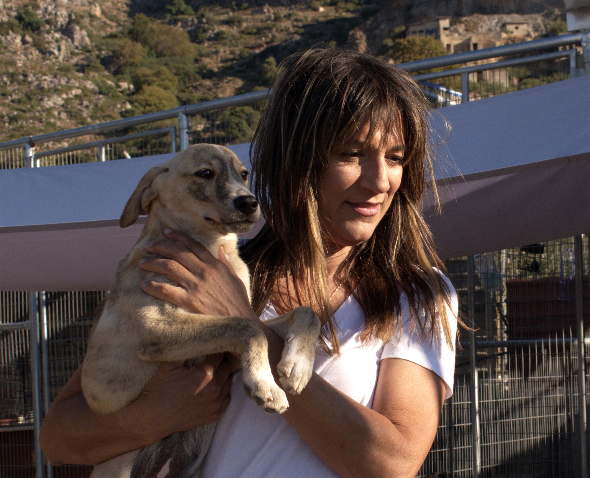 Εθελοντές φιλοζωικών μιλούν στην «Κ»: «Με τα ζώα έμαθα τι θα πει αγάπη και δικαιοσύνη»-4