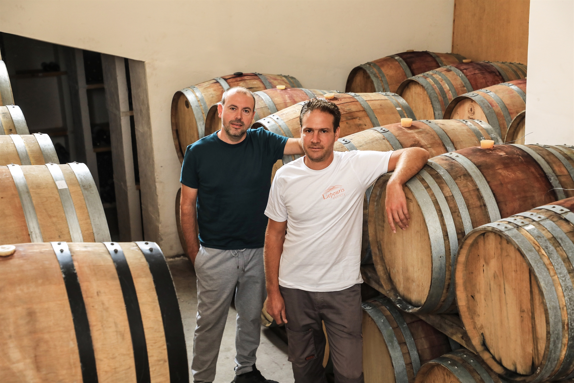 Ο αργός θάνατος του αττικού αμπελώνα – Γιατί εγκαταλείπεται η οινοποίηση-2