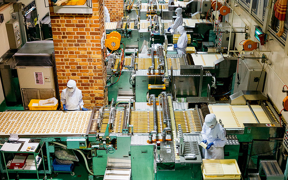 όλο-και-πιο-δύσκολο-παζλ-η-επιλογή-τροφ-562100581