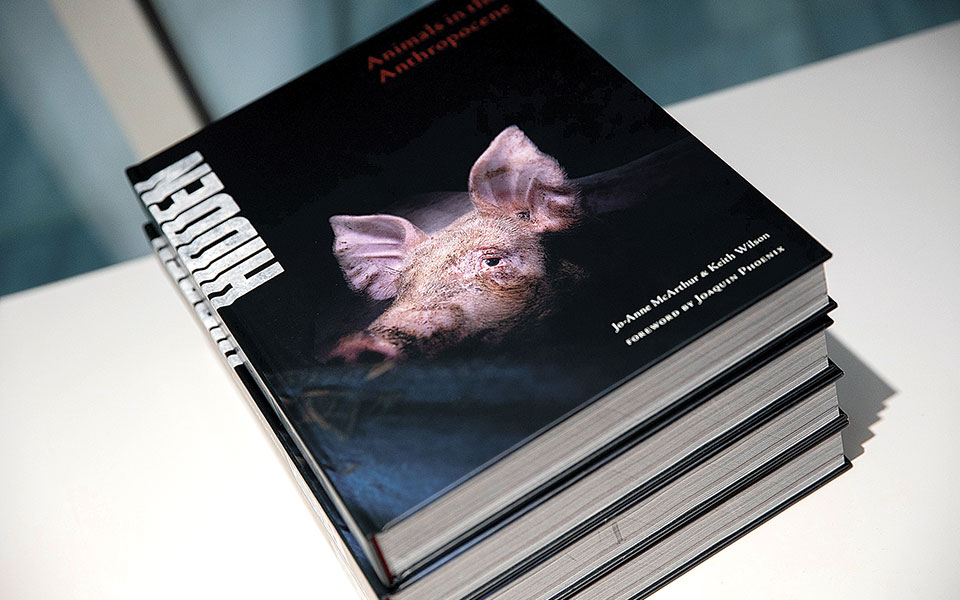 Μια έκθεση για την εκμετάλλευση των ζώων στο ΚΠΙΣΝ μάς θέτει προ των ευθυνών μας-2