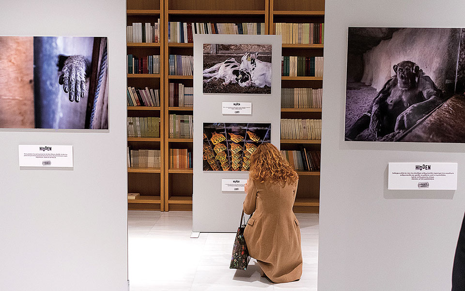 Μια έκθεση για την εκμετάλλευση των ζώων στο ΚΠΙΣΝ μάς θέτει προ των ευθυνών μας-3