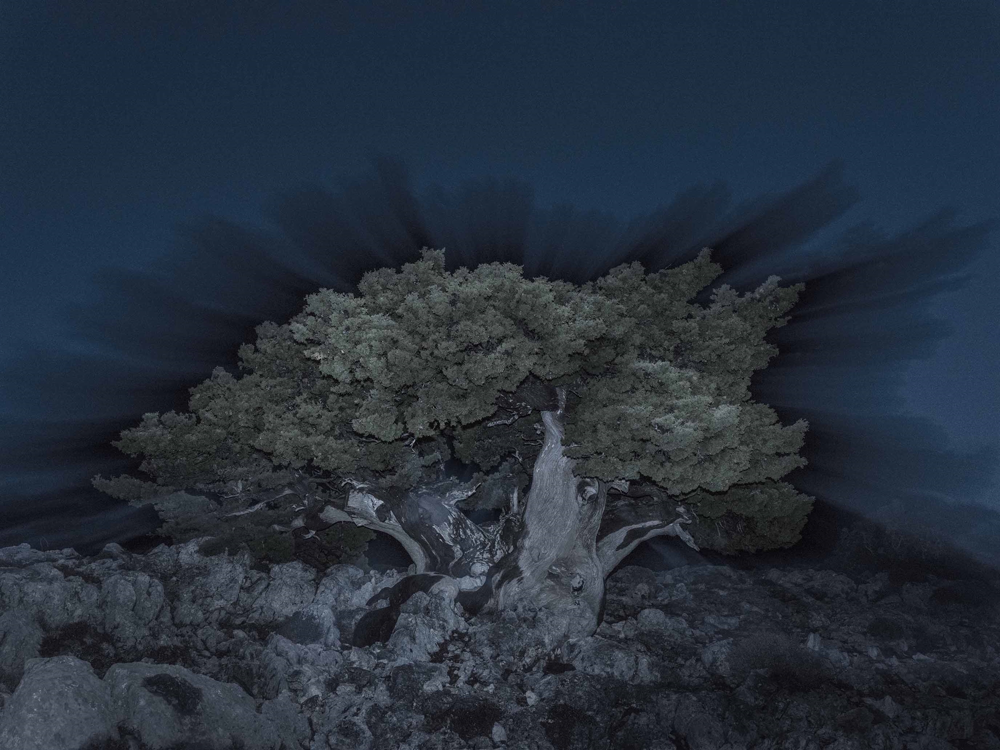 Ο Τάσος Βρεττός στην «Κ»: Τα μυστήρια «όντα» της Βαρυμπόμπης-3