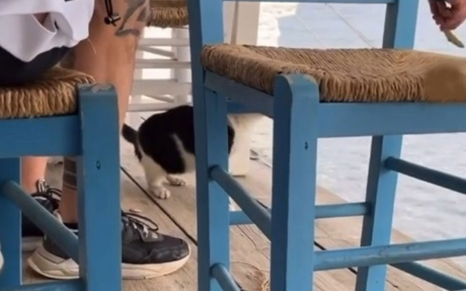 παρέμβαση-ντογιάκου-για-την-αθώωση-το-562110115