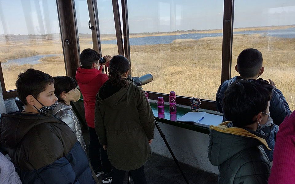 Μυδοερευνητές: Οι λιλιπούτειοι κάτοικοι του Μακρύγιαλου μαθαίνουν τα πάντα γύρω από το μύδι-2