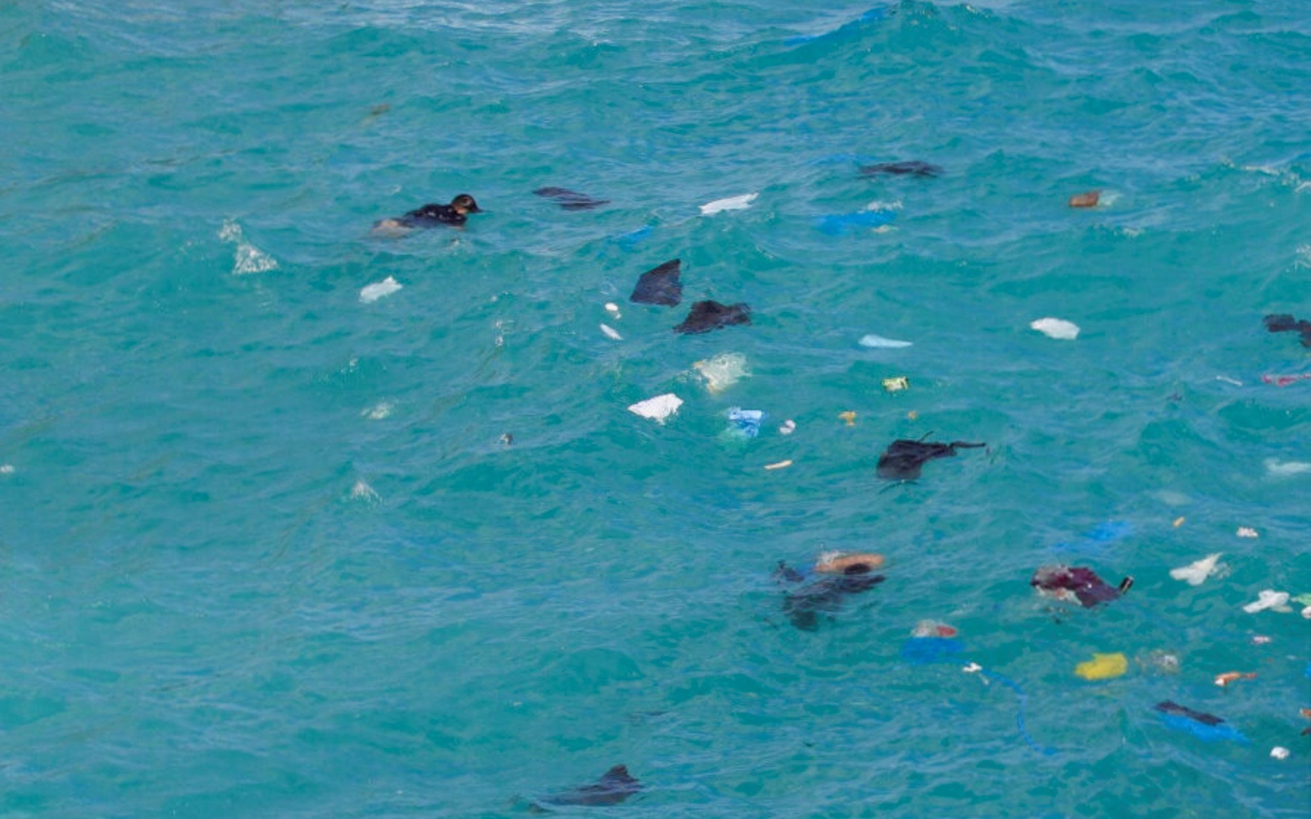 ναυάγιο-στα-κύθηρα-στους-οκτώ-οι-νεκρο-562084045