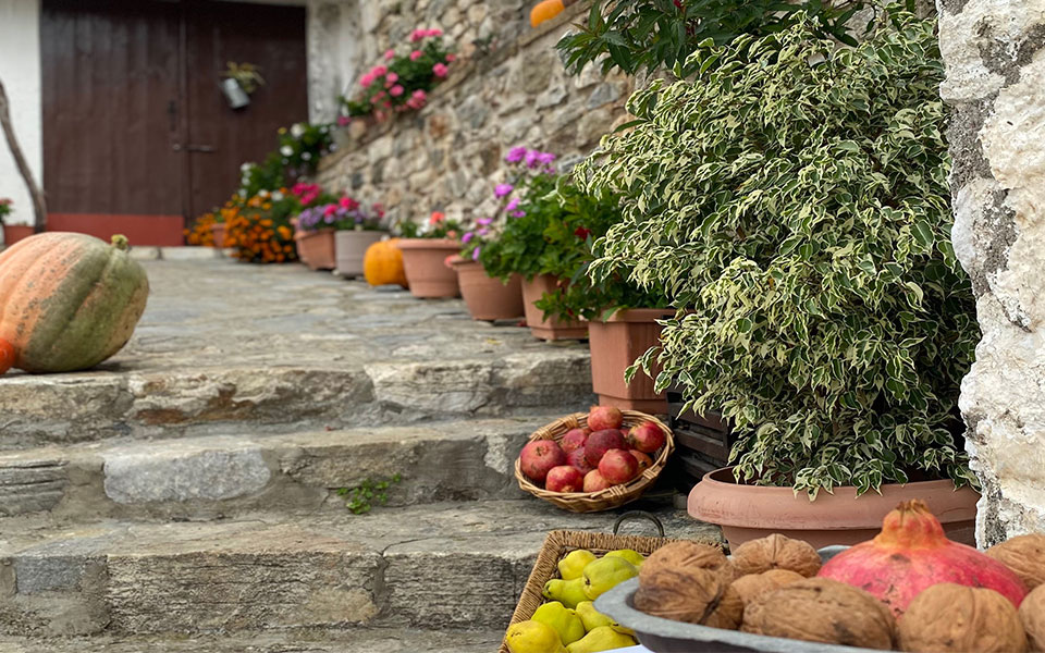 Και τον Οκτώβριο πάμε Βαμβακού!-3
