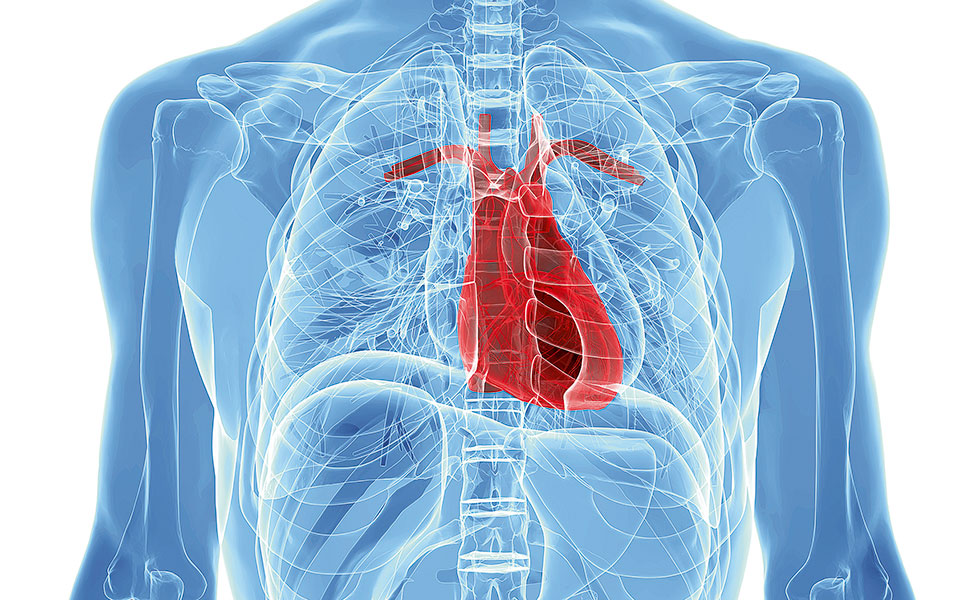 εξελίξεις-στις-γνώσεις-μας-για-την-αθη-562088446