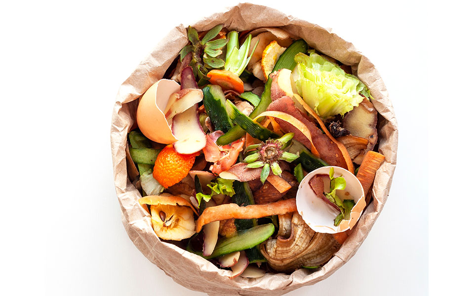 πετάμε-40-κιλά-τρόφιμα-ο-καθένας-ετησίως-562091689