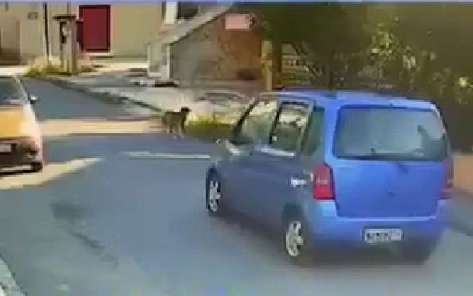 θεσσαλονίκη-ταυτοποιήθηκε-η-οδηγός-π-562073662