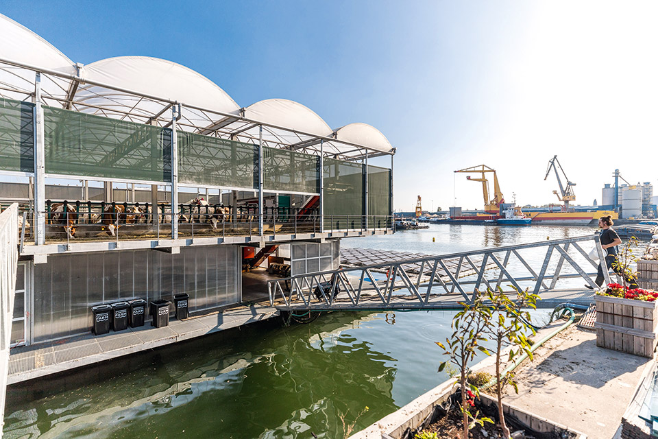 Ρότερνταμ, αντισυμβατικό και πρωτοπόρο-3